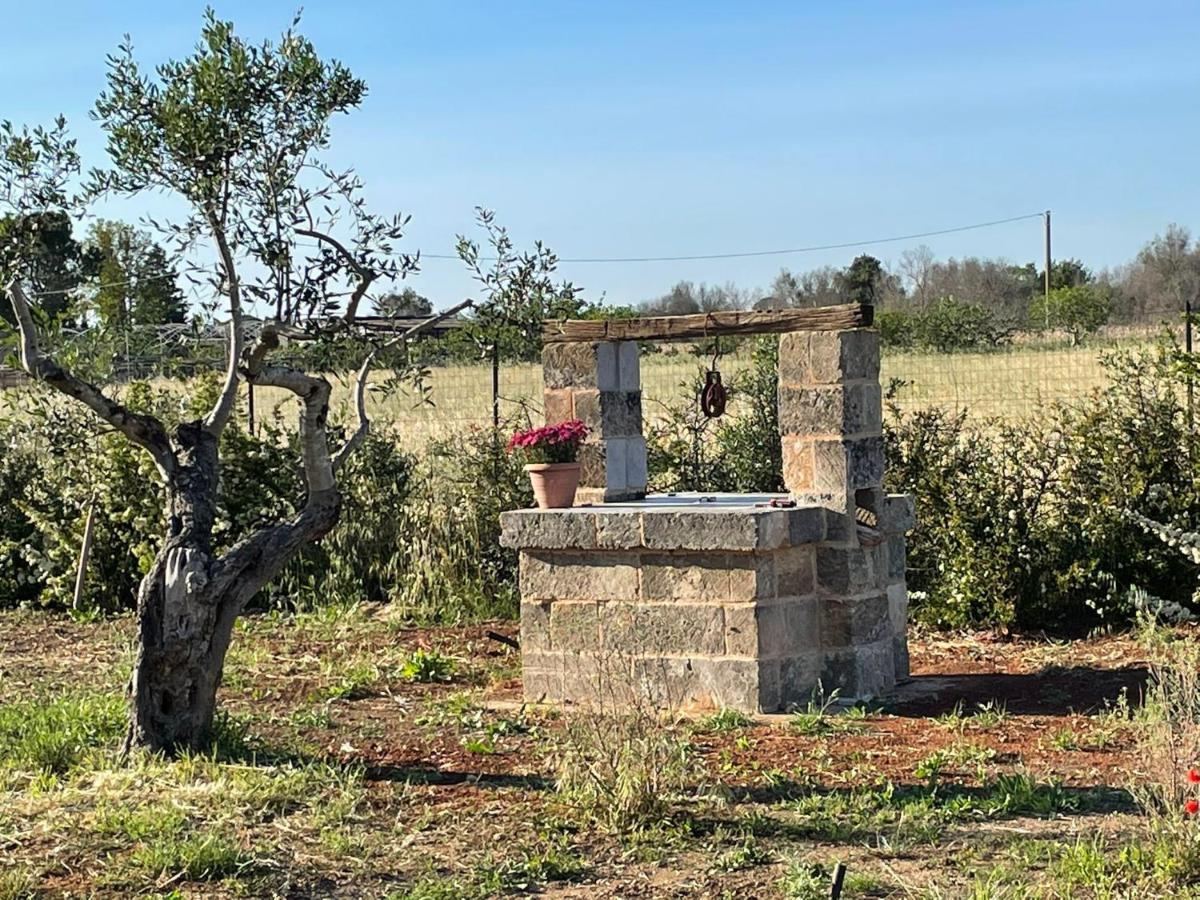 Bed & Breakfast Villa Michela أليزيو المظهر الخارجي الصورة