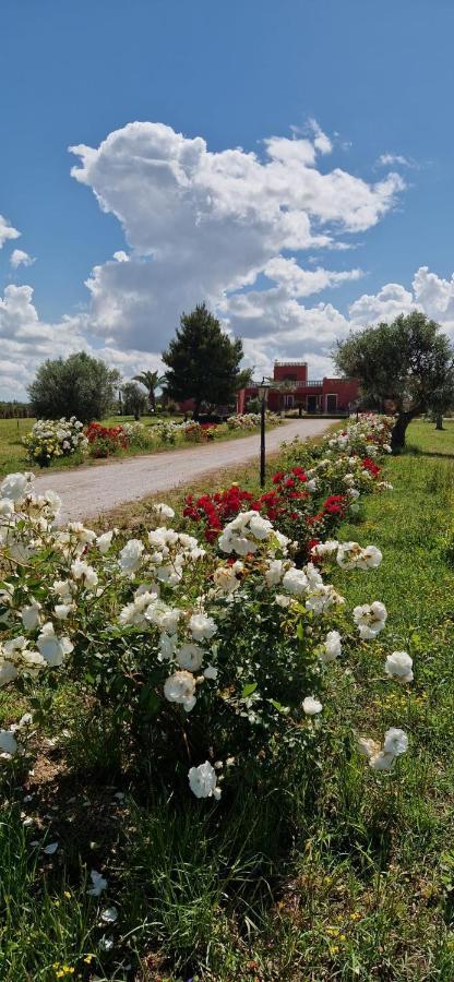 Bed & Breakfast Villa Michela أليزيو المظهر الخارجي الصورة