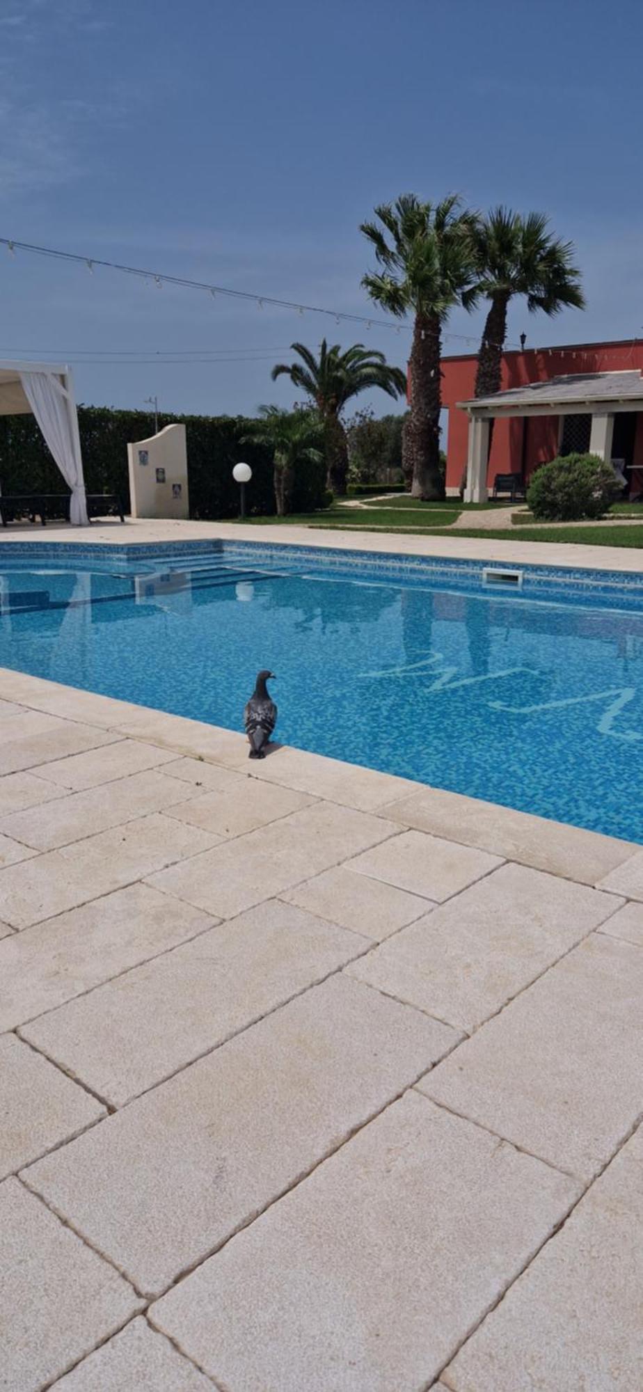Bed & Breakfast Villa Michela أليزيو المظهر الخارجي الصورة